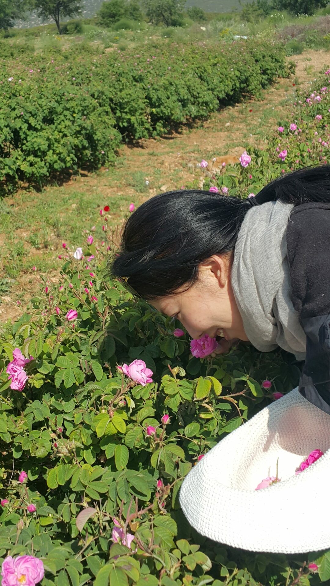20160525_093454